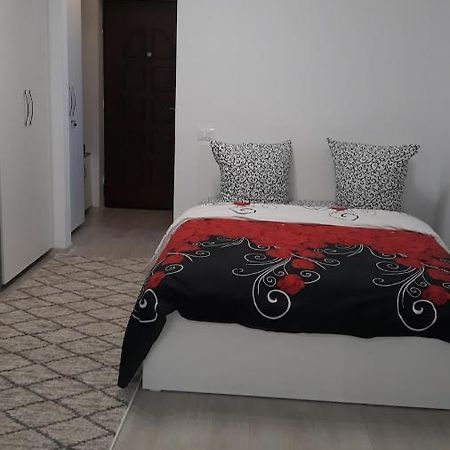 Irvin Apartament 이아시 외부 사진