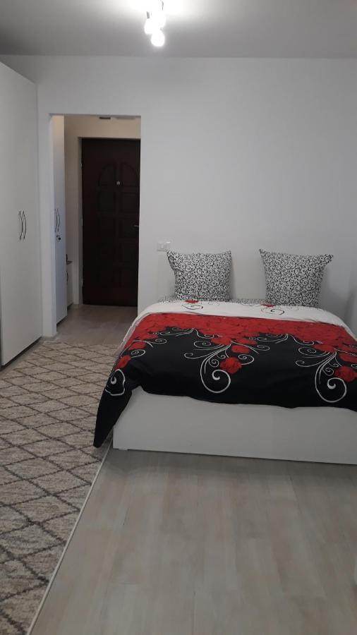 Irvin Apartament 이아시 외부 사진