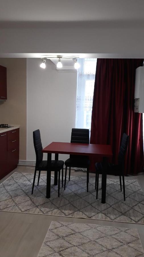 Irvin Apartament 이아시 외부 사진